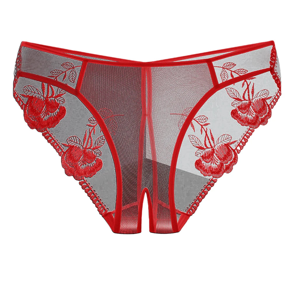 Low-Waist Lace Briefs – Sheer Everyday Panties