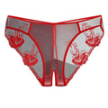 Low-Waist Lace Briefs – Sheer Everyday Panties
