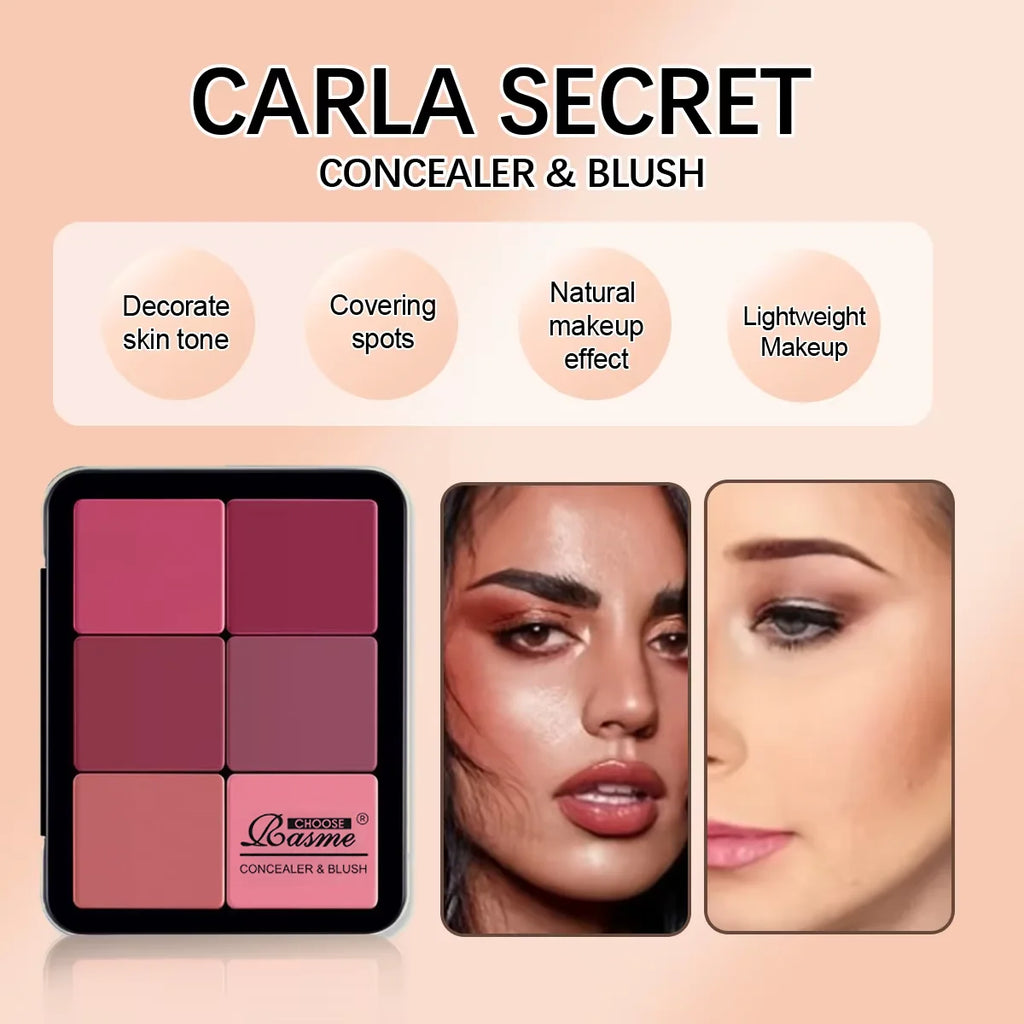 12-Color Concealer & Blush Contour Palette